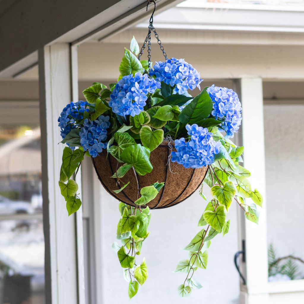 Blue Hydrangea Hanging Basket