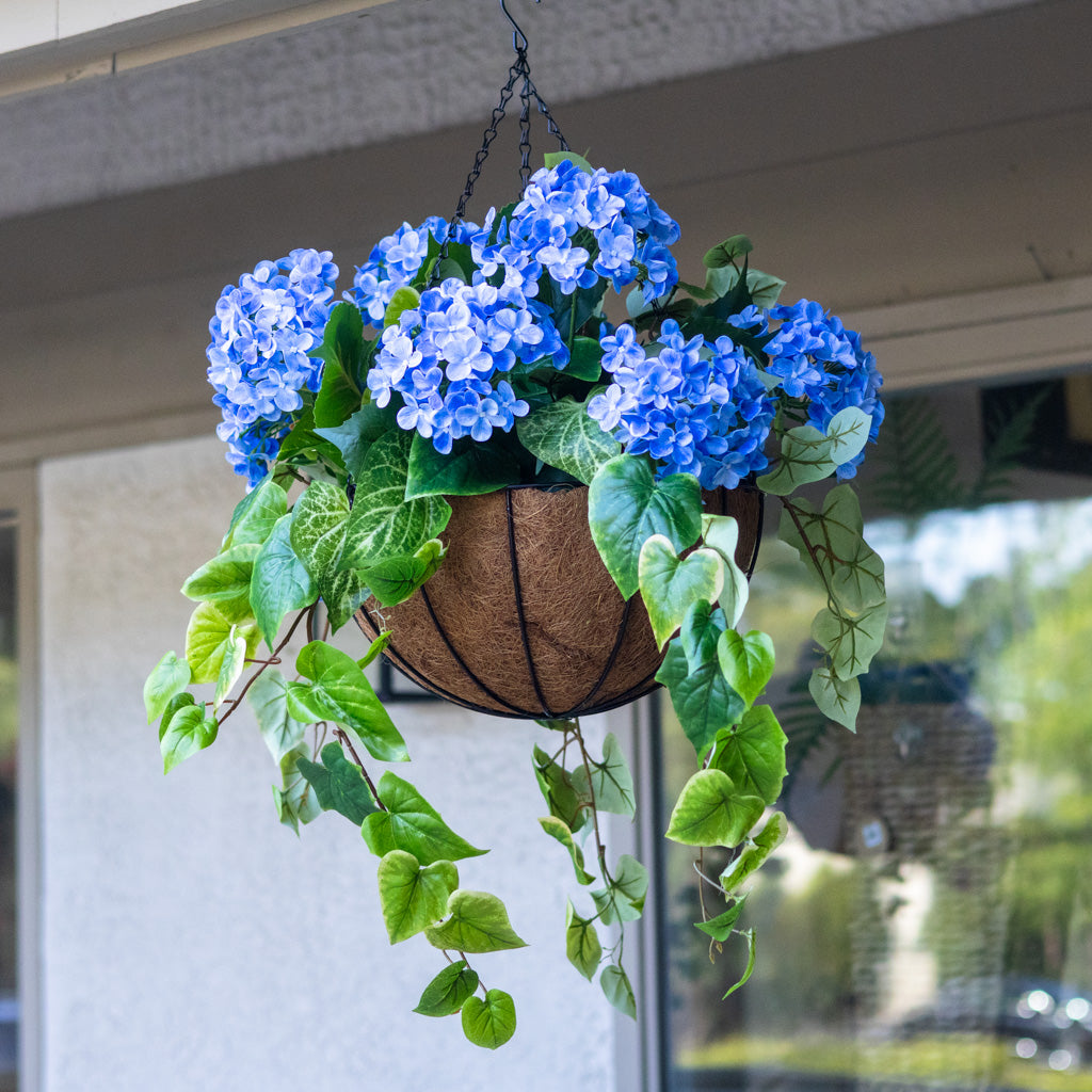 Blue Hydrangea Hanging Basket