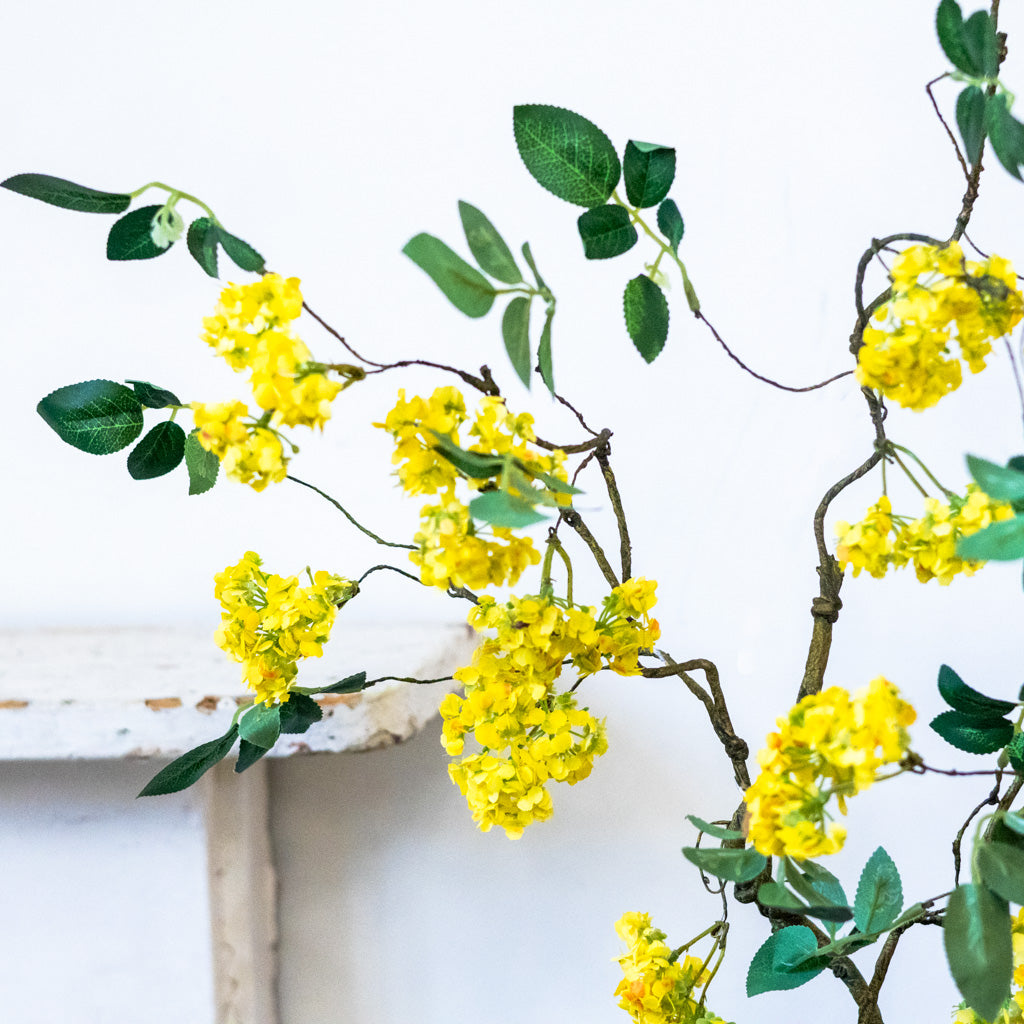 Yellow Blossom Branch
