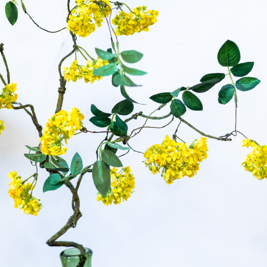Yellow Blossom Branch
