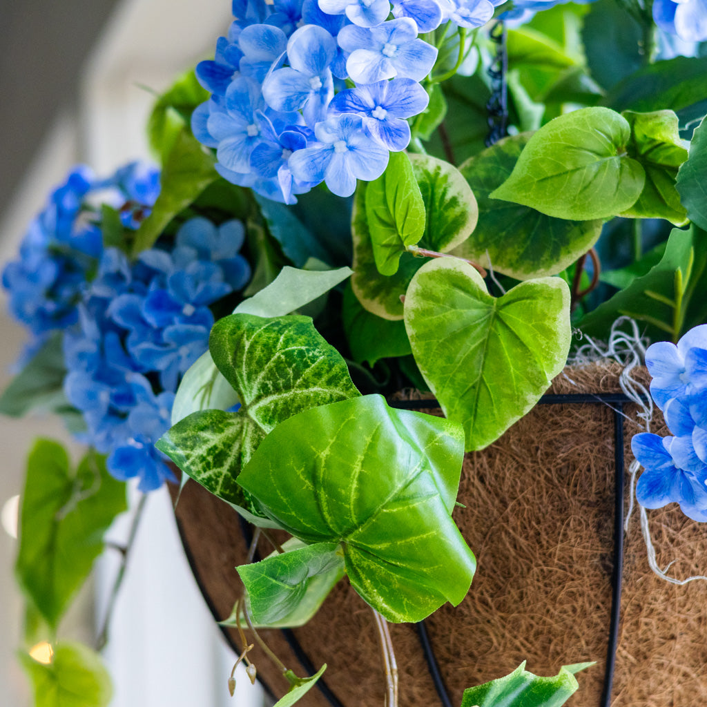Blue Hydrangea Hanging Basket