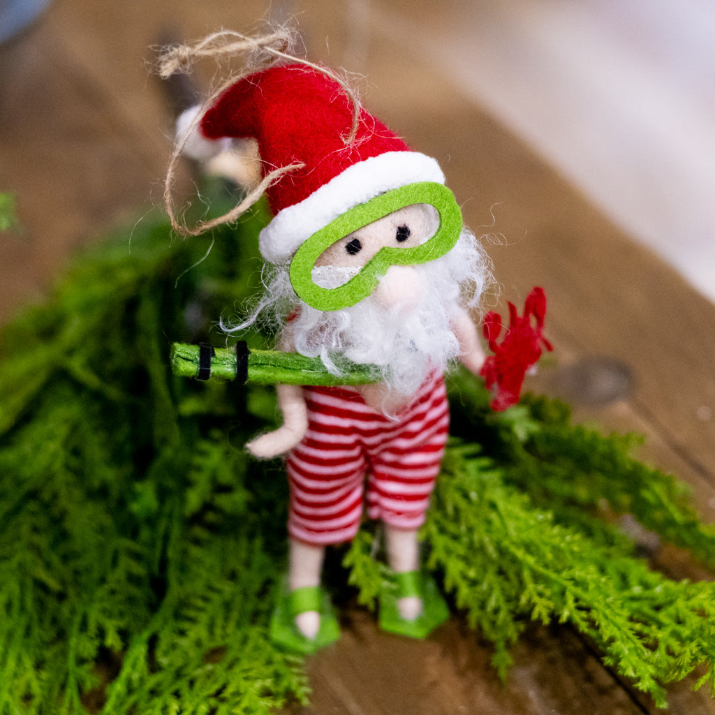 Beach Snorkeling Santa