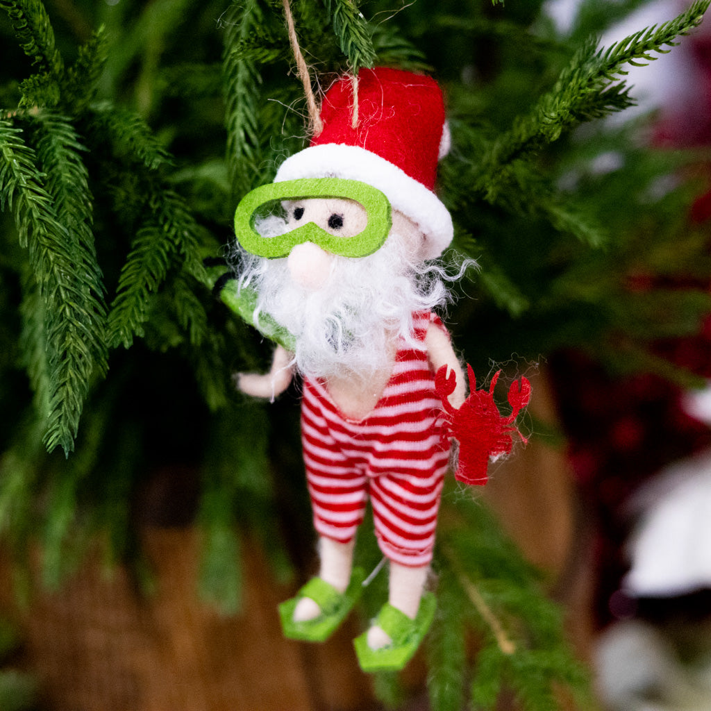 Beach Snorkeling Santa