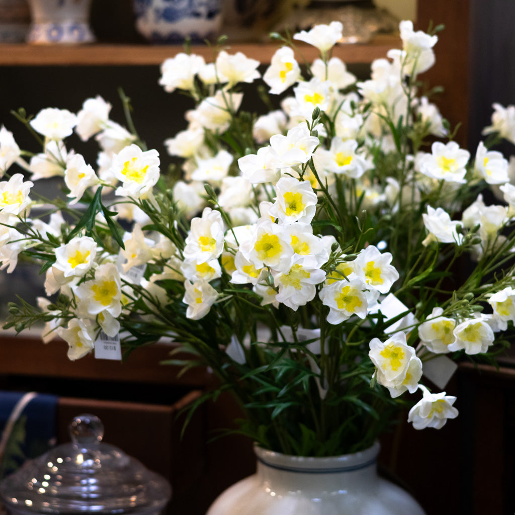 Cream Wild Delphinium Spray