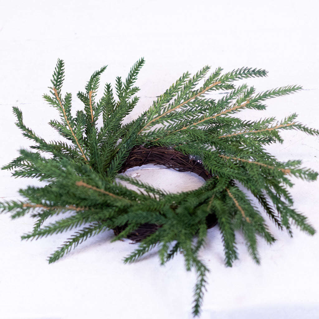 Norfolk Pine Wreath Small