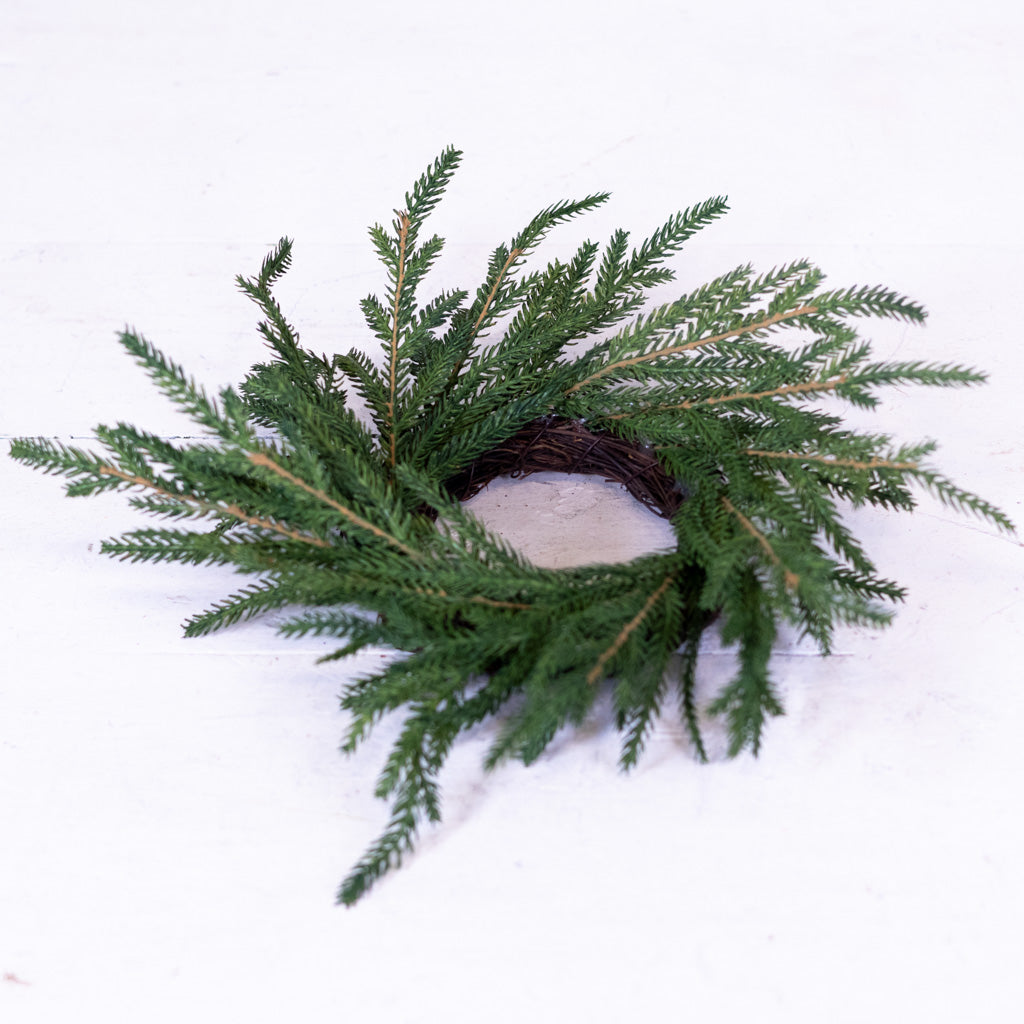 Norfolk Pine Wreath Small