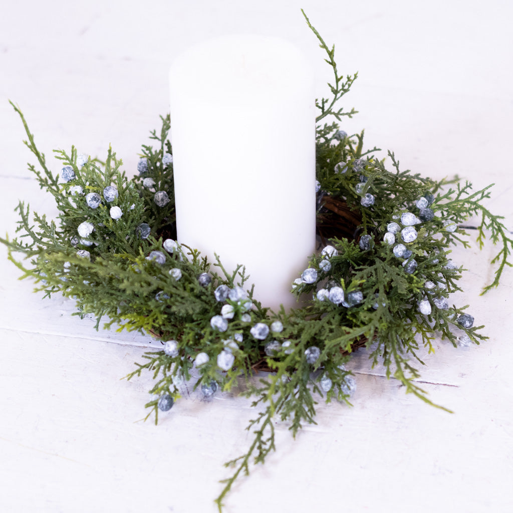 8"D Seeding Juniper Wreath