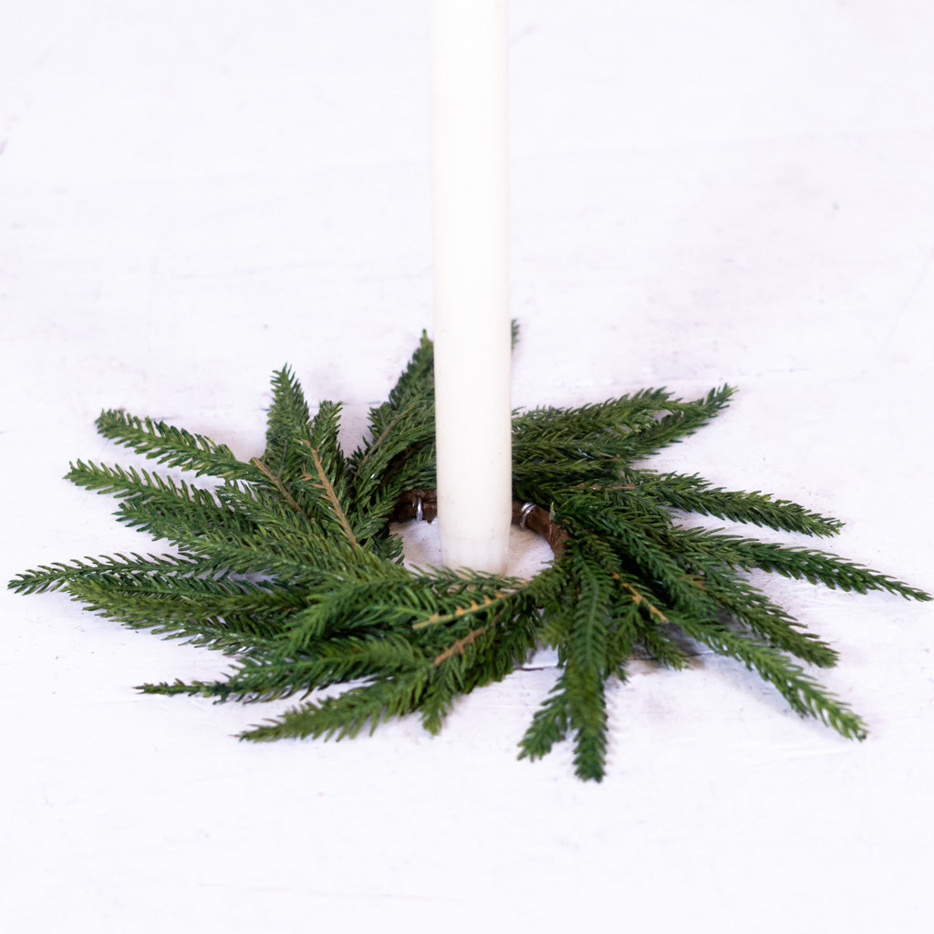 Norfolk Pine Wreath Extra Small