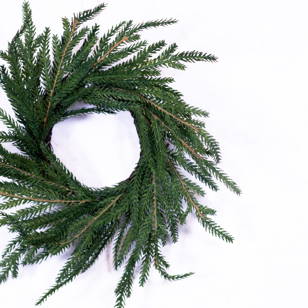 Norfolk Pine Wreath Small