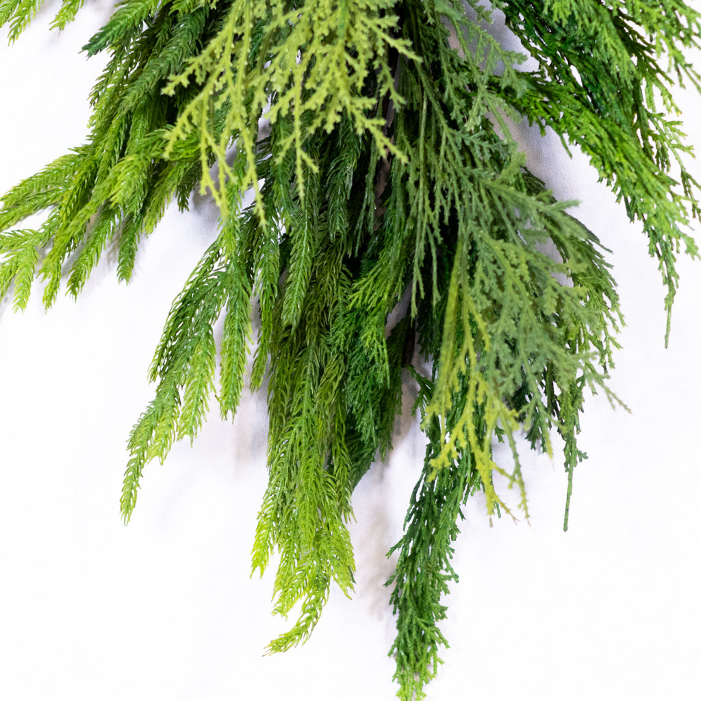 Woodland Pine Bundle