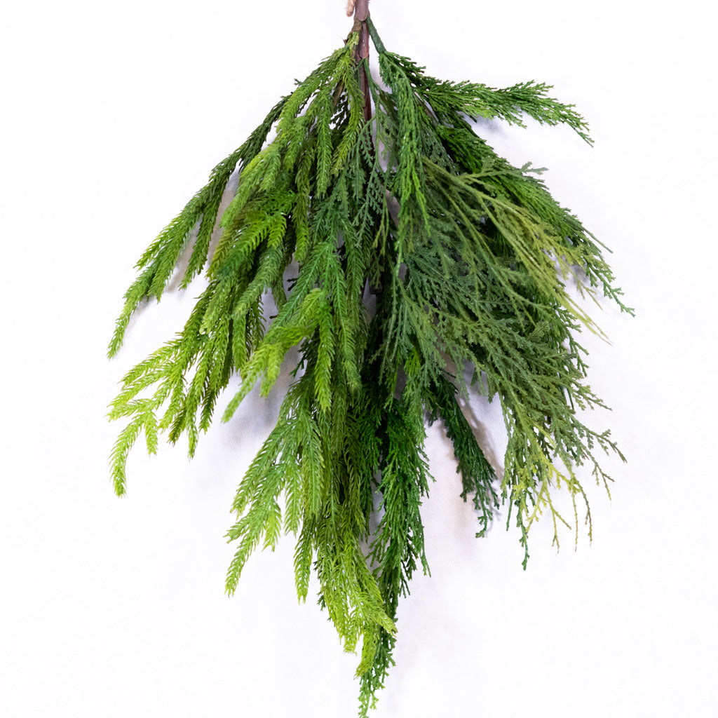 Woodland Pine Bundle