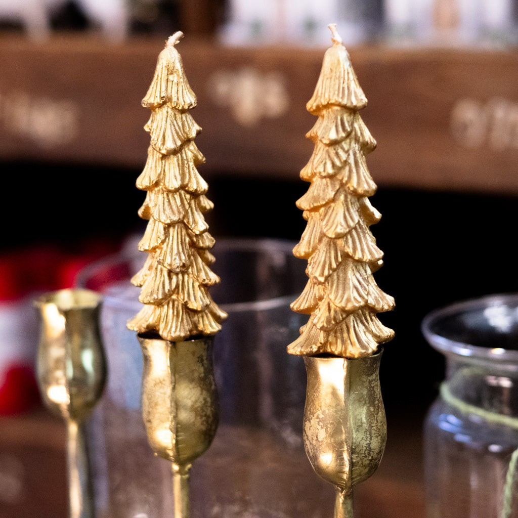 Unscented Gold Tree Candle Box of Two Short