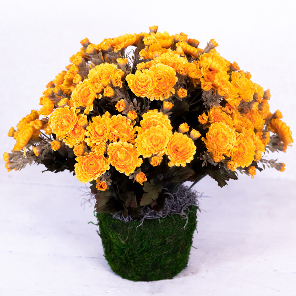 Mum Double Drop In Gold Yellow