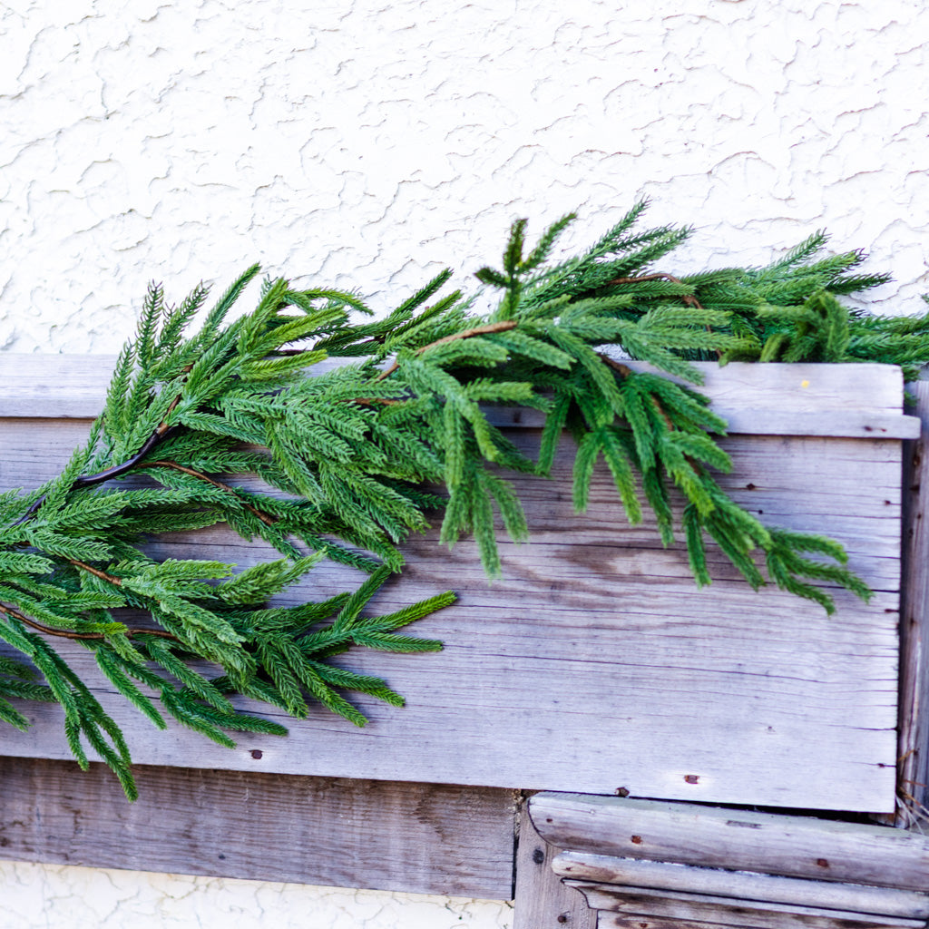 5.5 ft. Norfolk Pine Garland