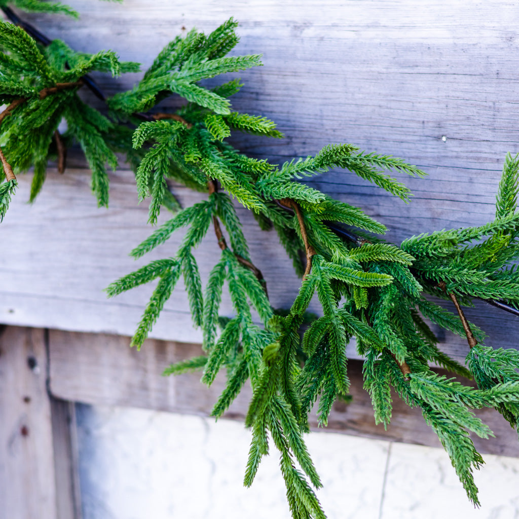 5.5 ft. Norfolk Pine Garland