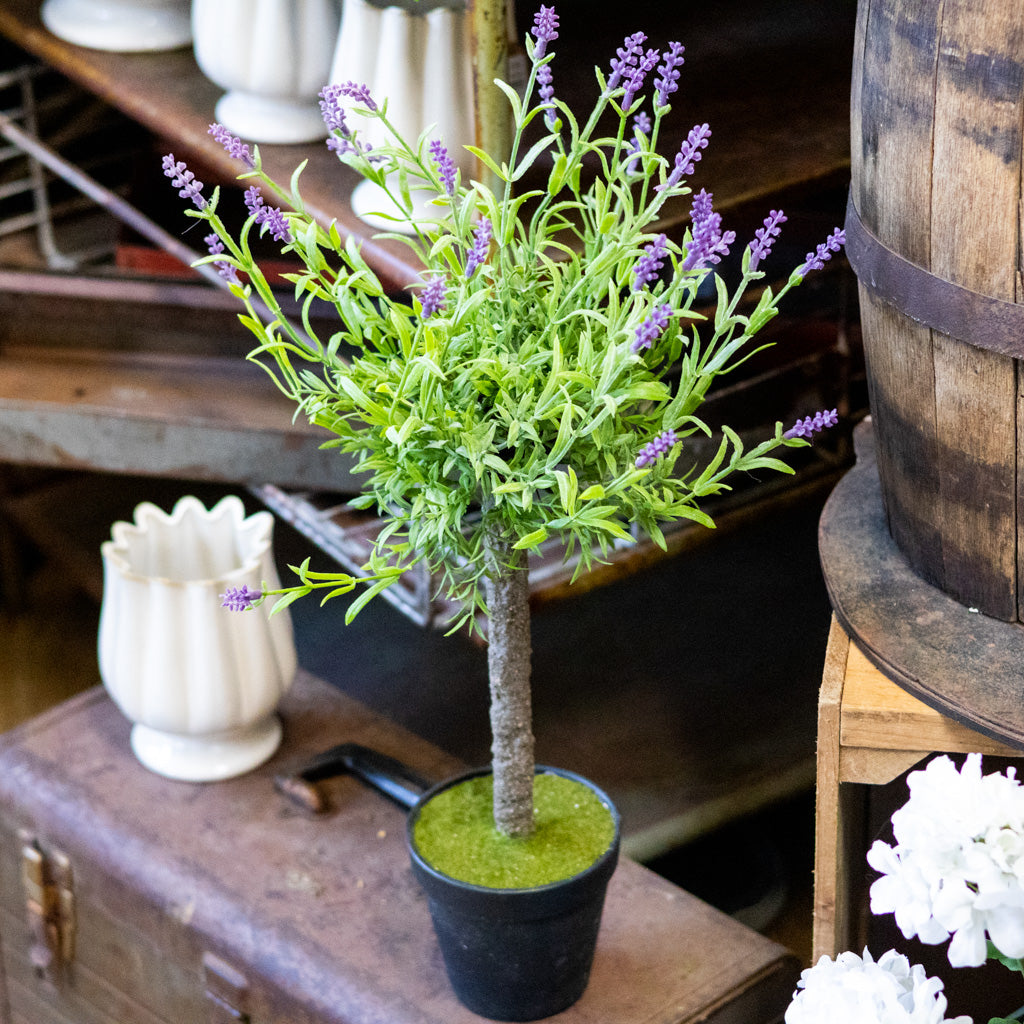 Single Purple Lavender Topiary