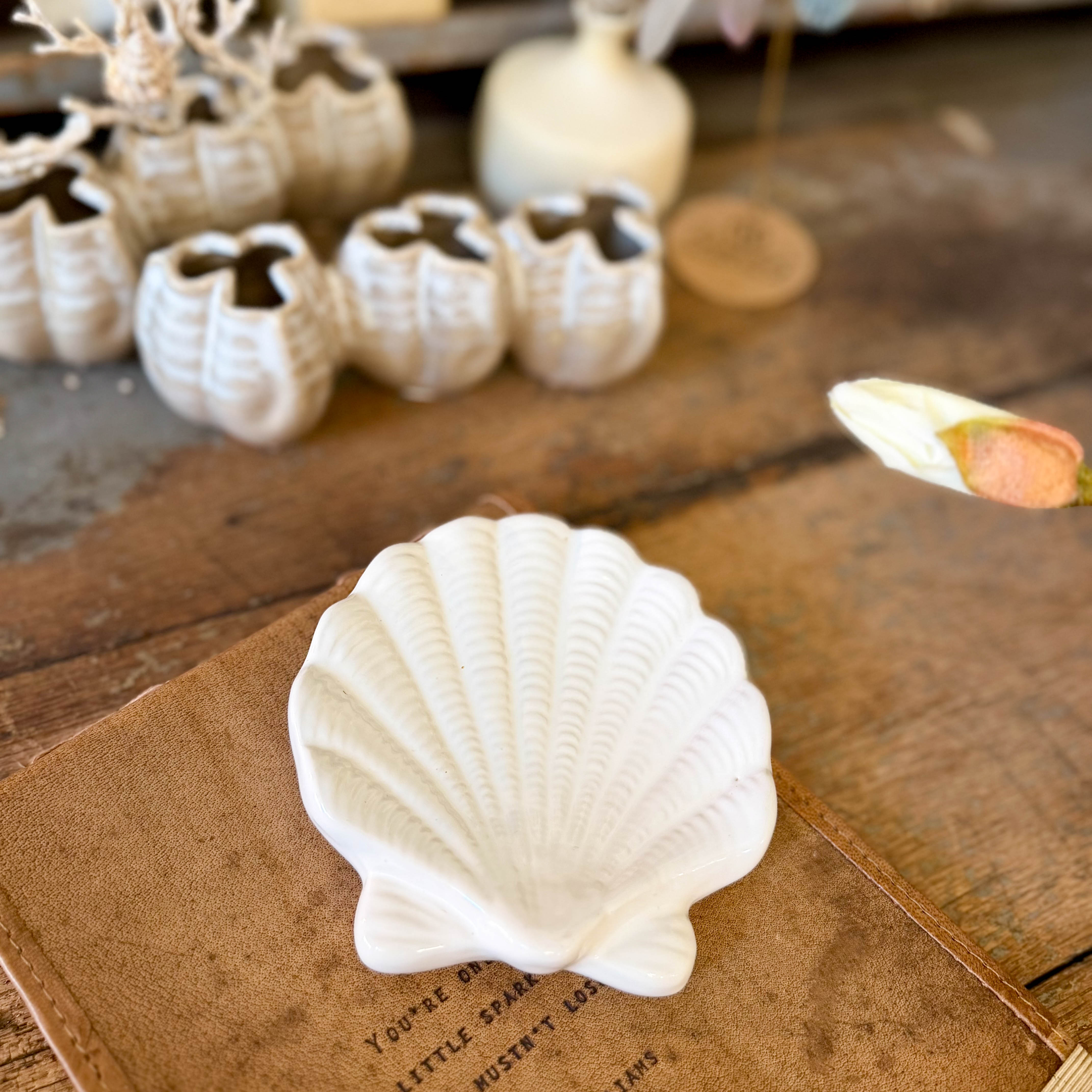 Seashell Soap/Trinket Dish