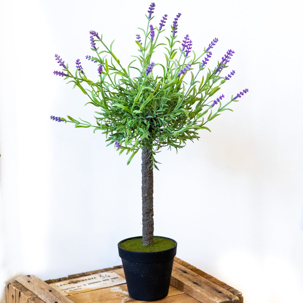 Single Purple Lavender Topiary