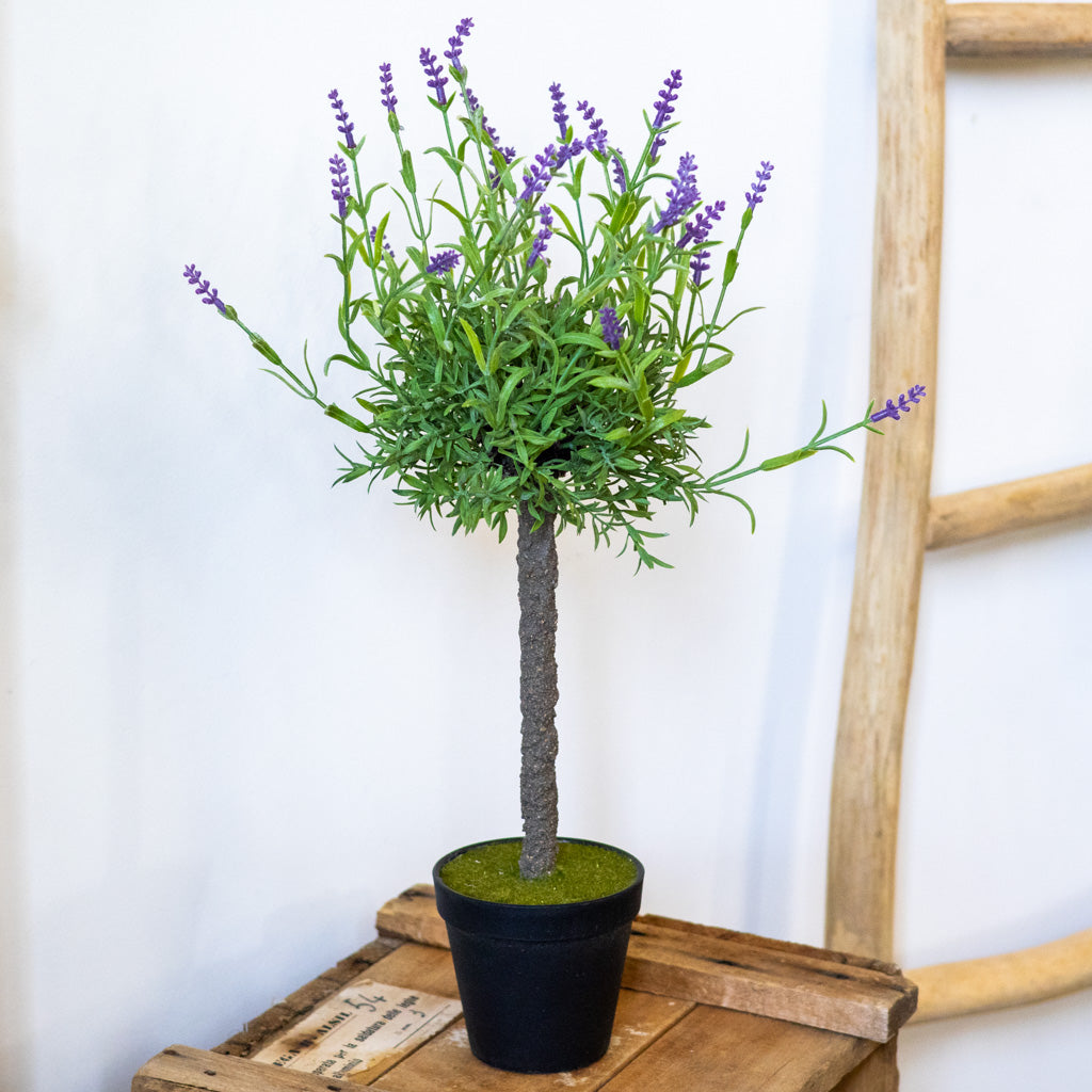 Single Purple Lavender Topiary