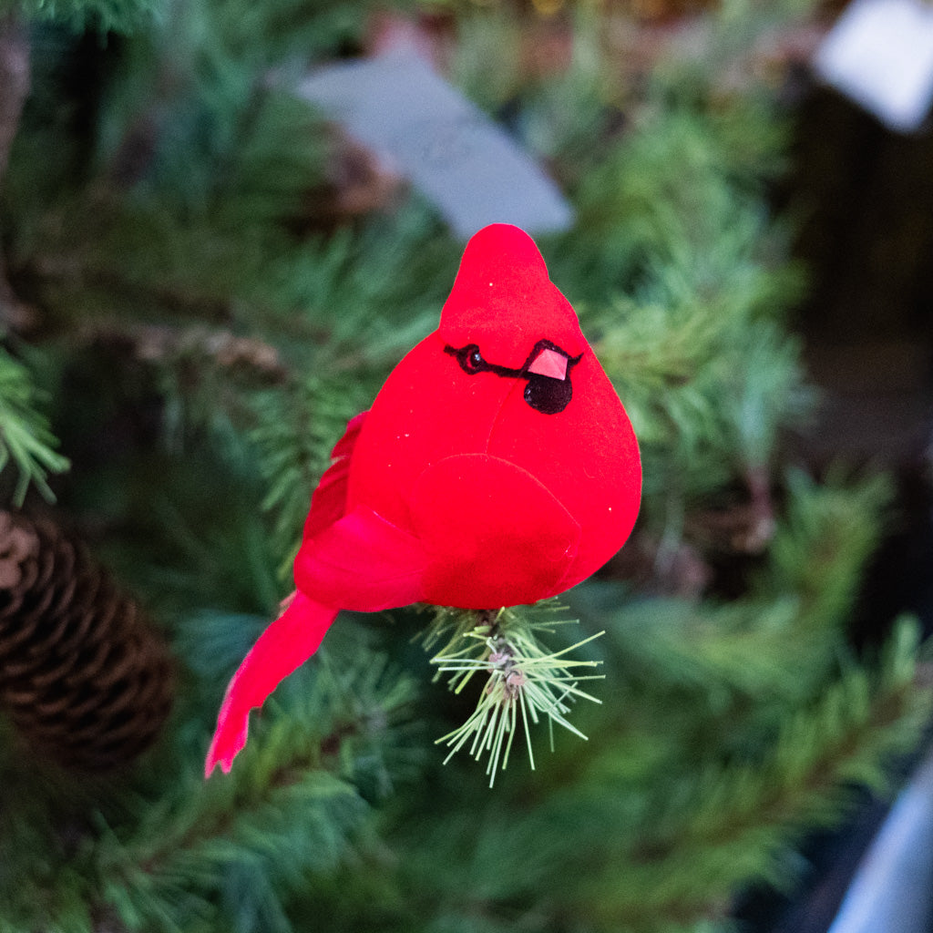 Jolly Velvet Red Cardinal Clip Ornament