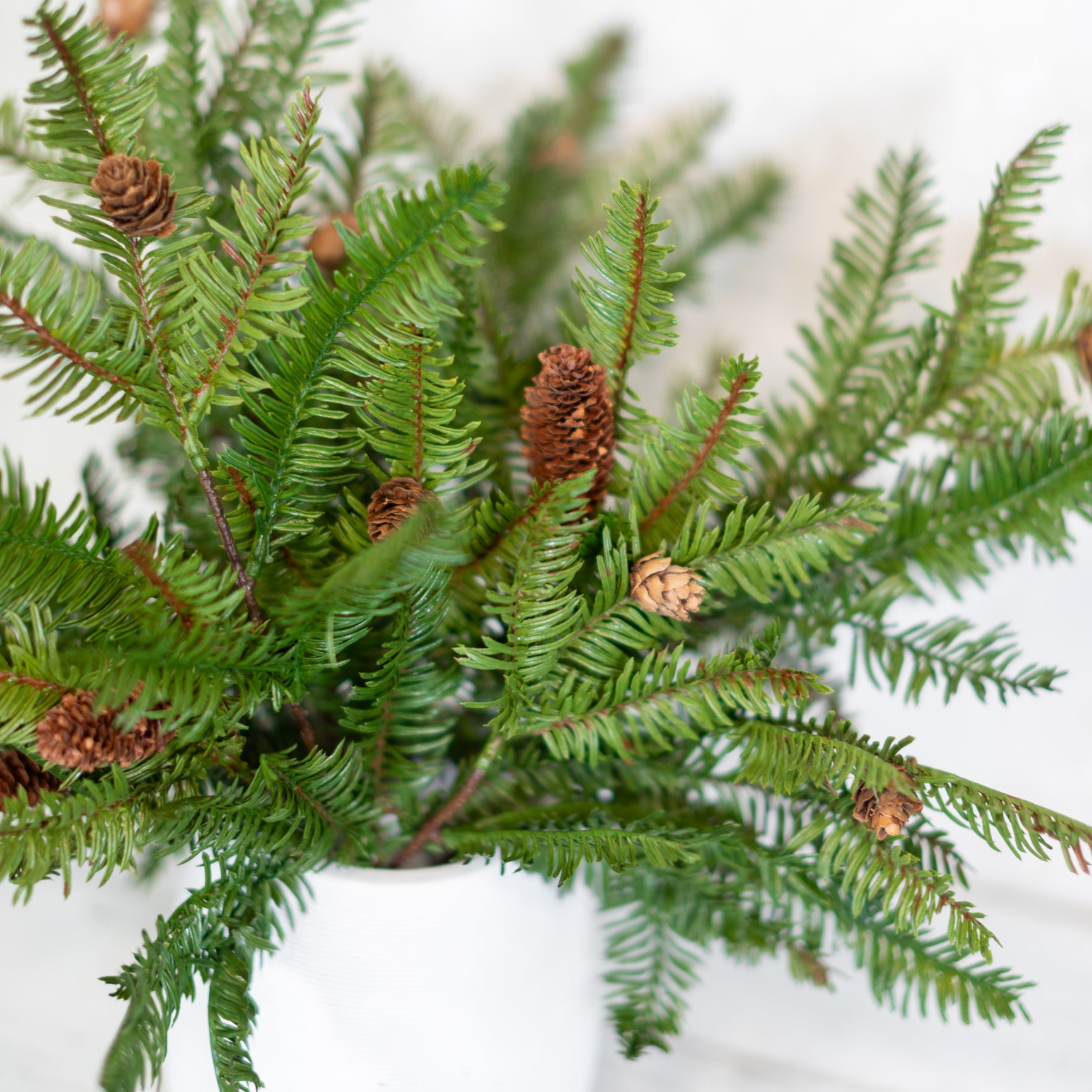 Hemlock with Pinecones Pick