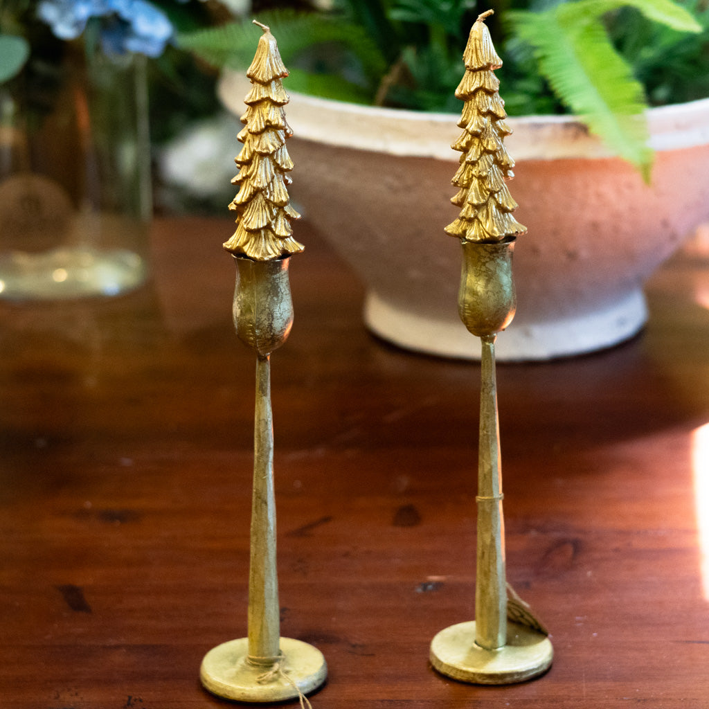 Unscented Gold Tree Candle Box of Two Short