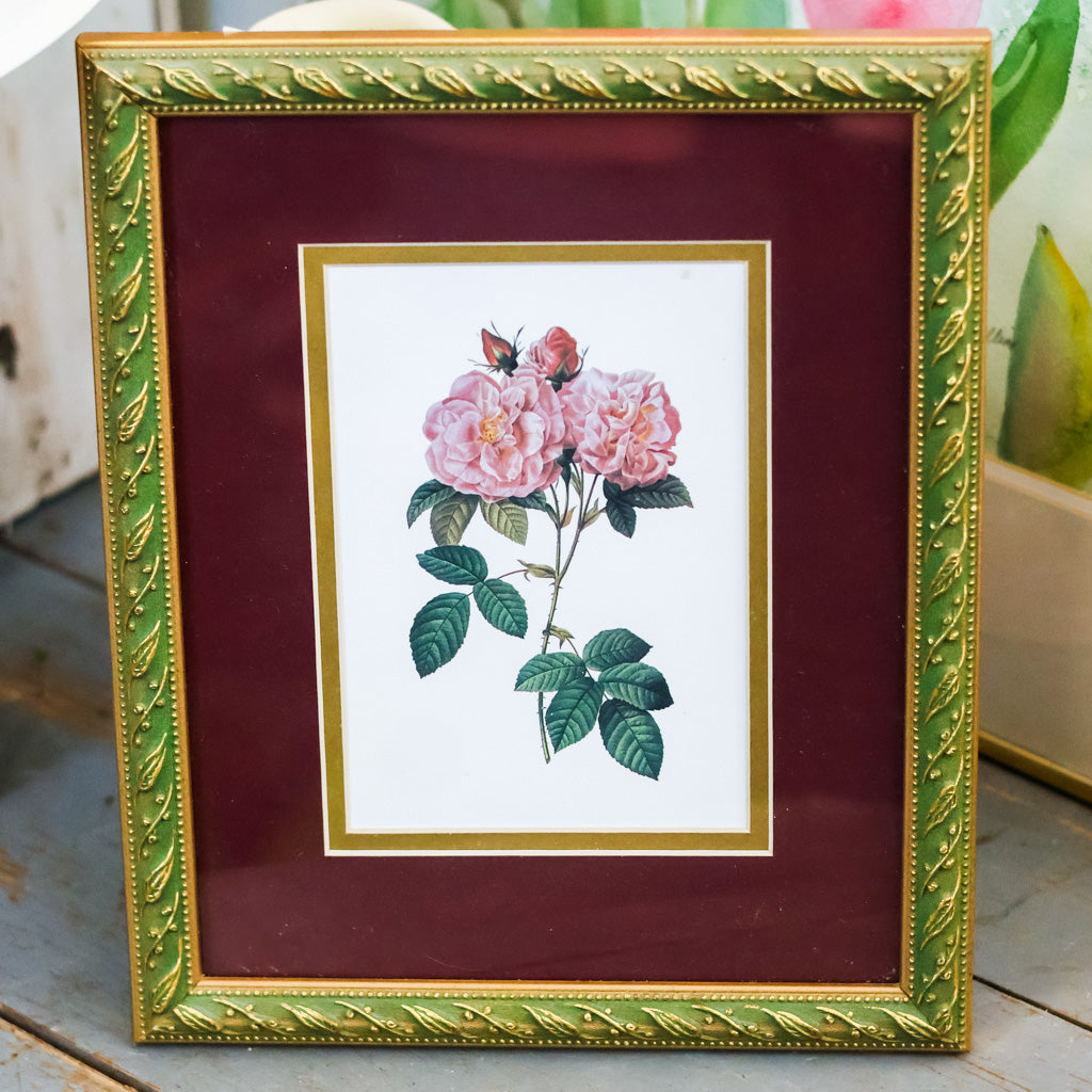 Botanical Double Rose Print