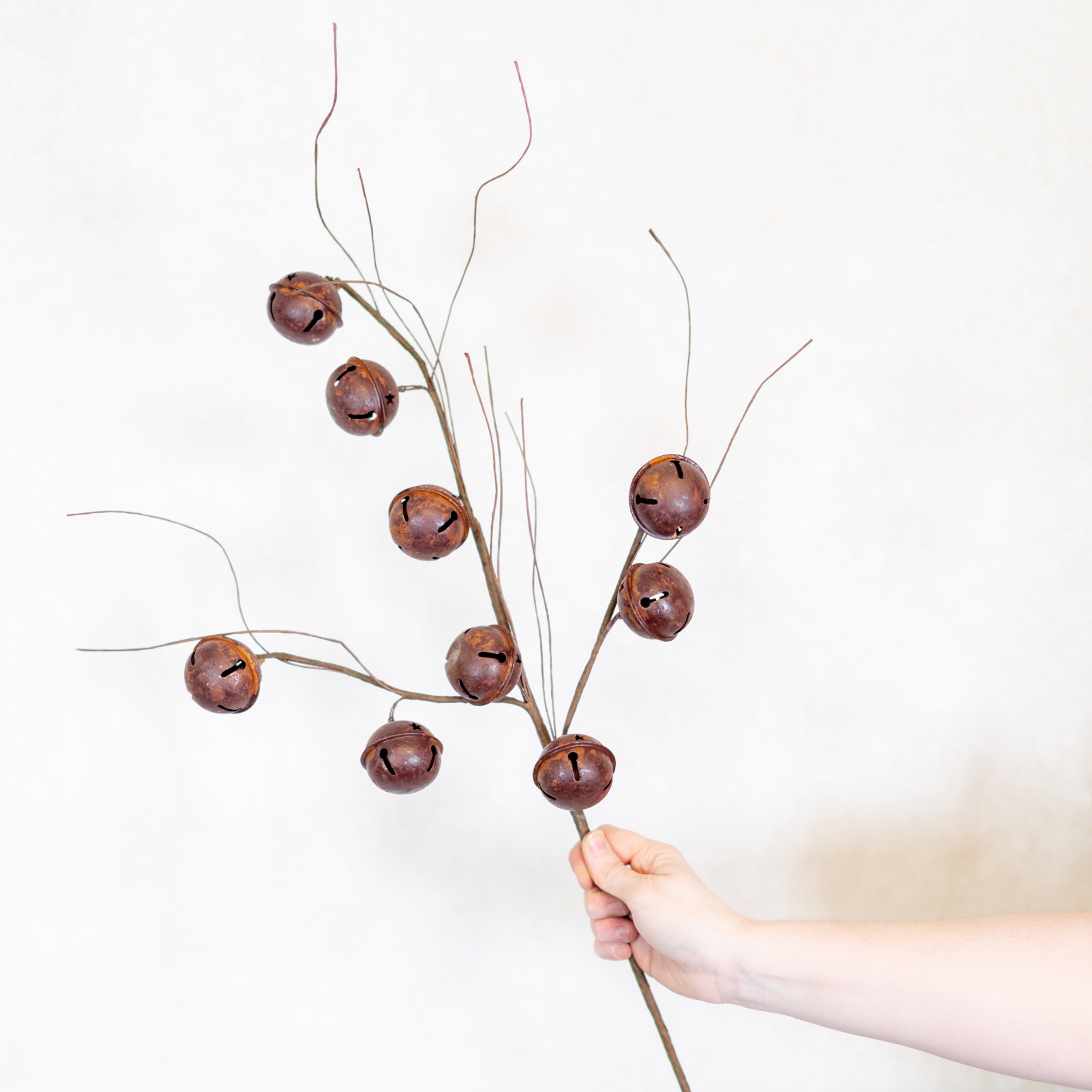 Brown Bell Twig Spray