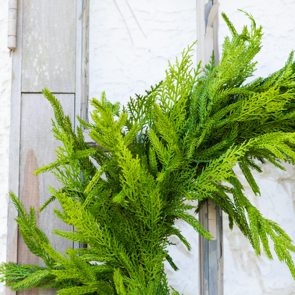30"D Woodland Evergreen Wreath Real Touch