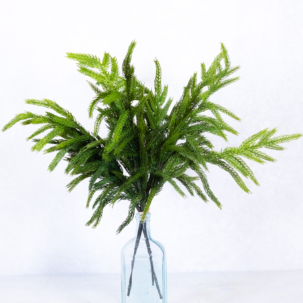 Real Touch Norfolk Pine Bundle