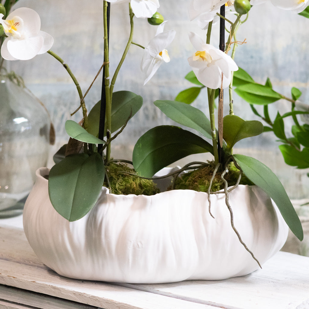 Flowing White Ceramic Planter