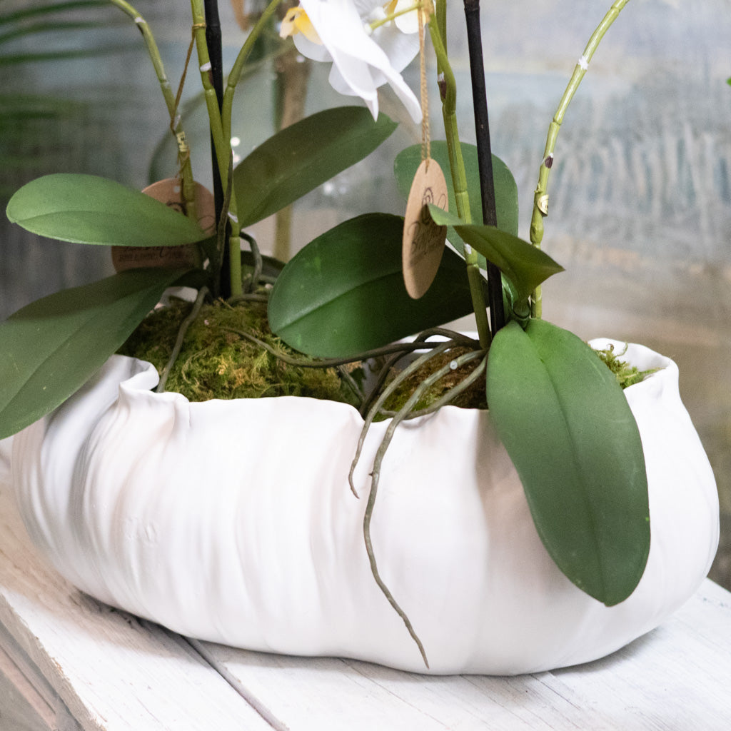 Flowing White Ceramic Planter