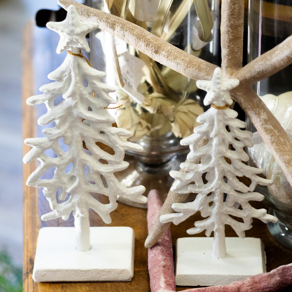 White Coral Tree Short