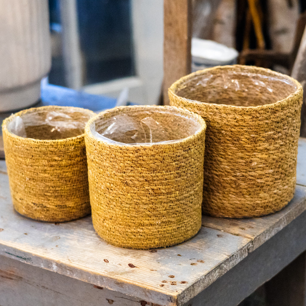 Seagrass Basket Medium
