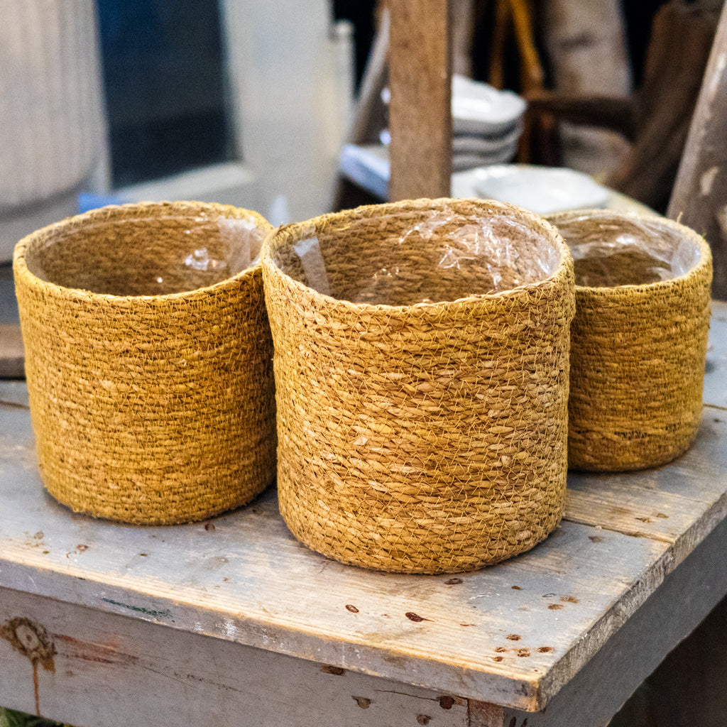 Seagrass Basket Large