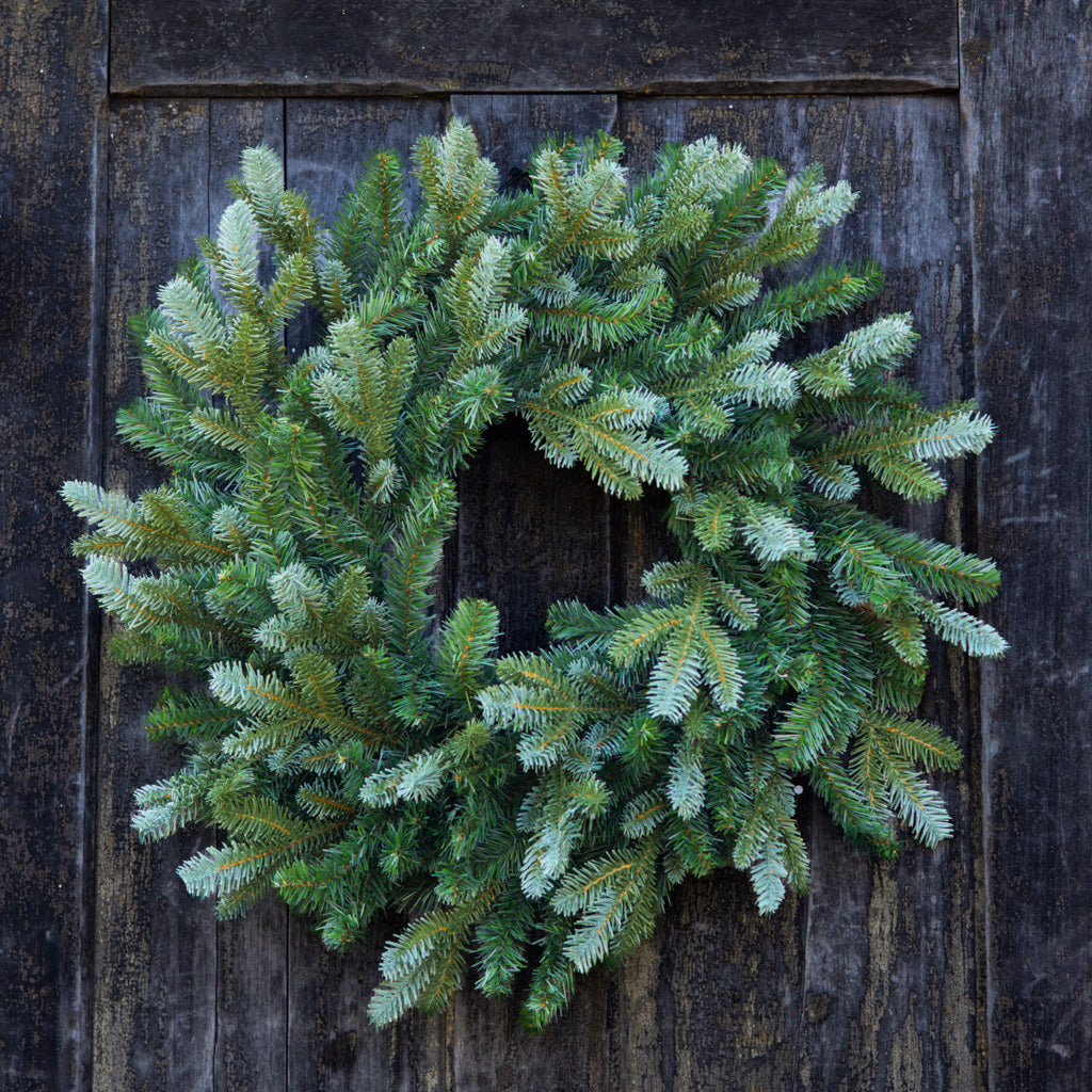 24" Blue Spruce Wreath