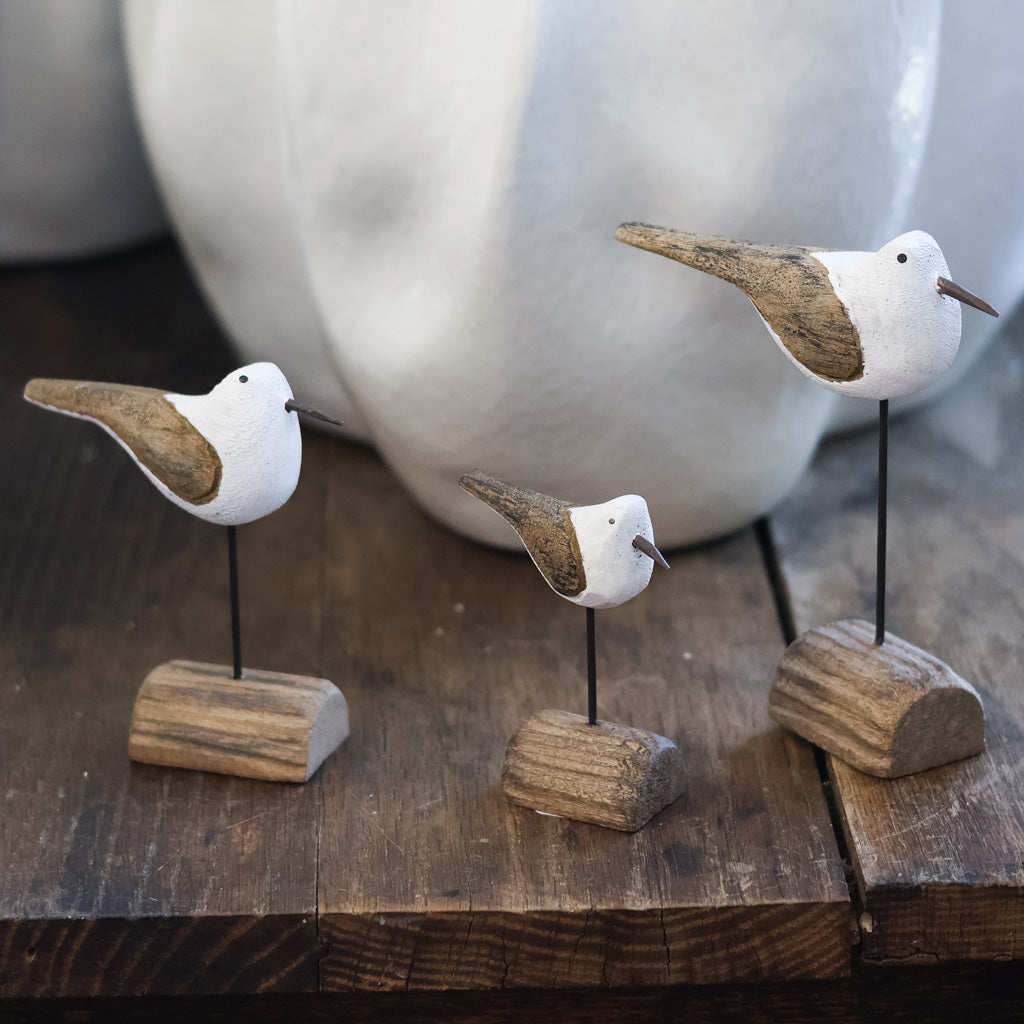 Seagull on Driftwood Short