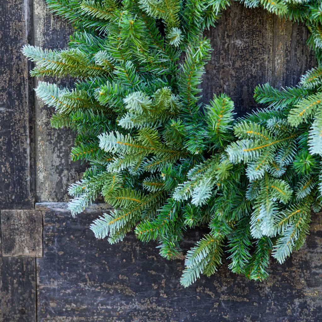 24" Blue Spruce Wreath