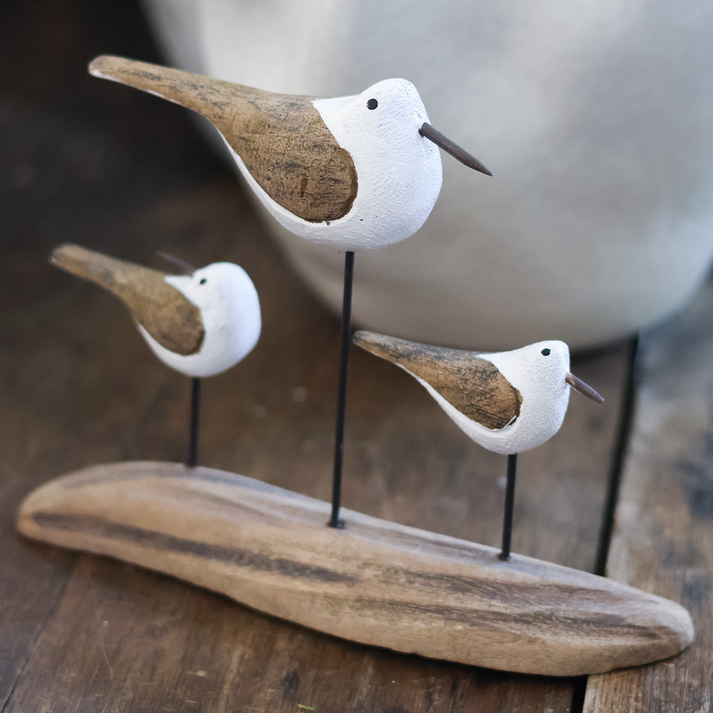 Three Seagulls on Driftwood