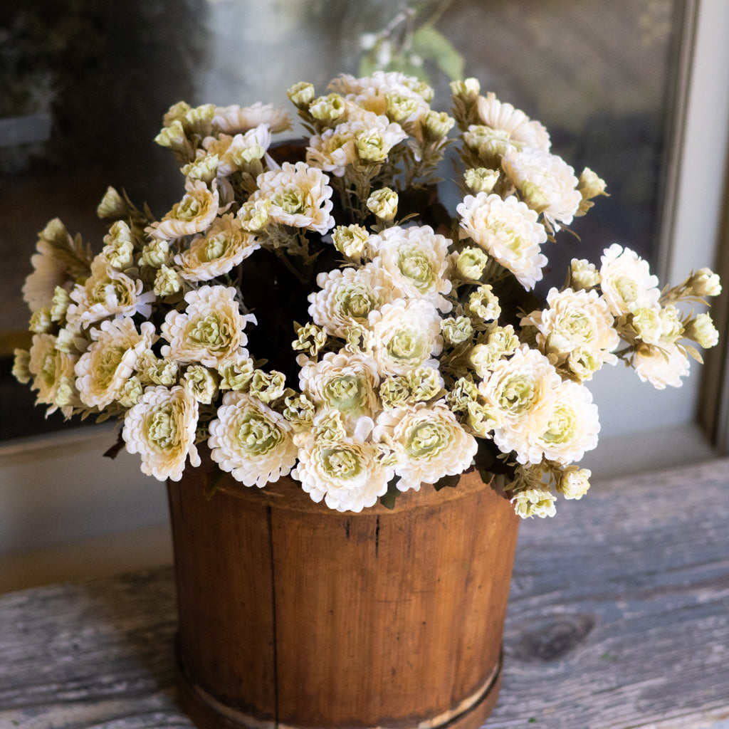 Mum Bush Stem Cream
