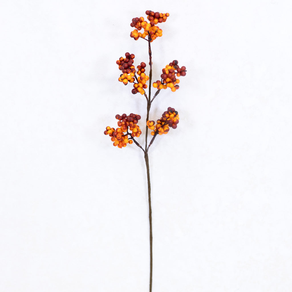 Berry Pick Rust Weather Resistant