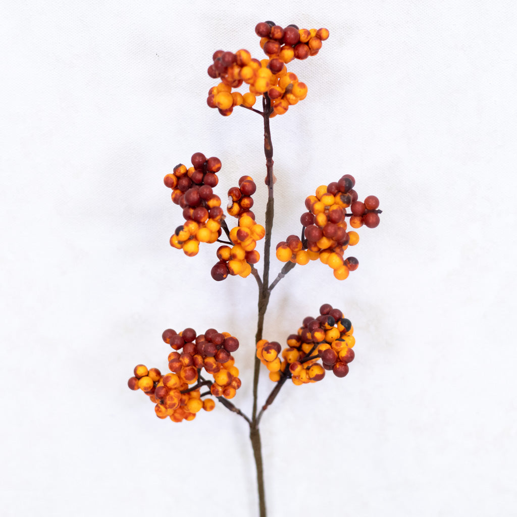 Berry Pick Rust Weather Resistant
