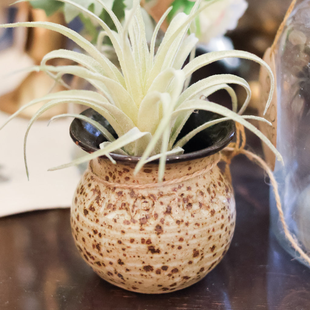 Martha Vase