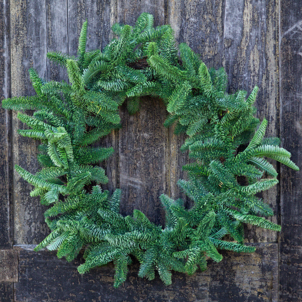 24" Noble Fir Wreath