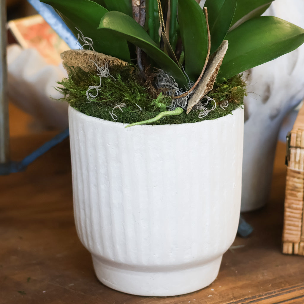 Container Recycled Paper/Chalk Powder