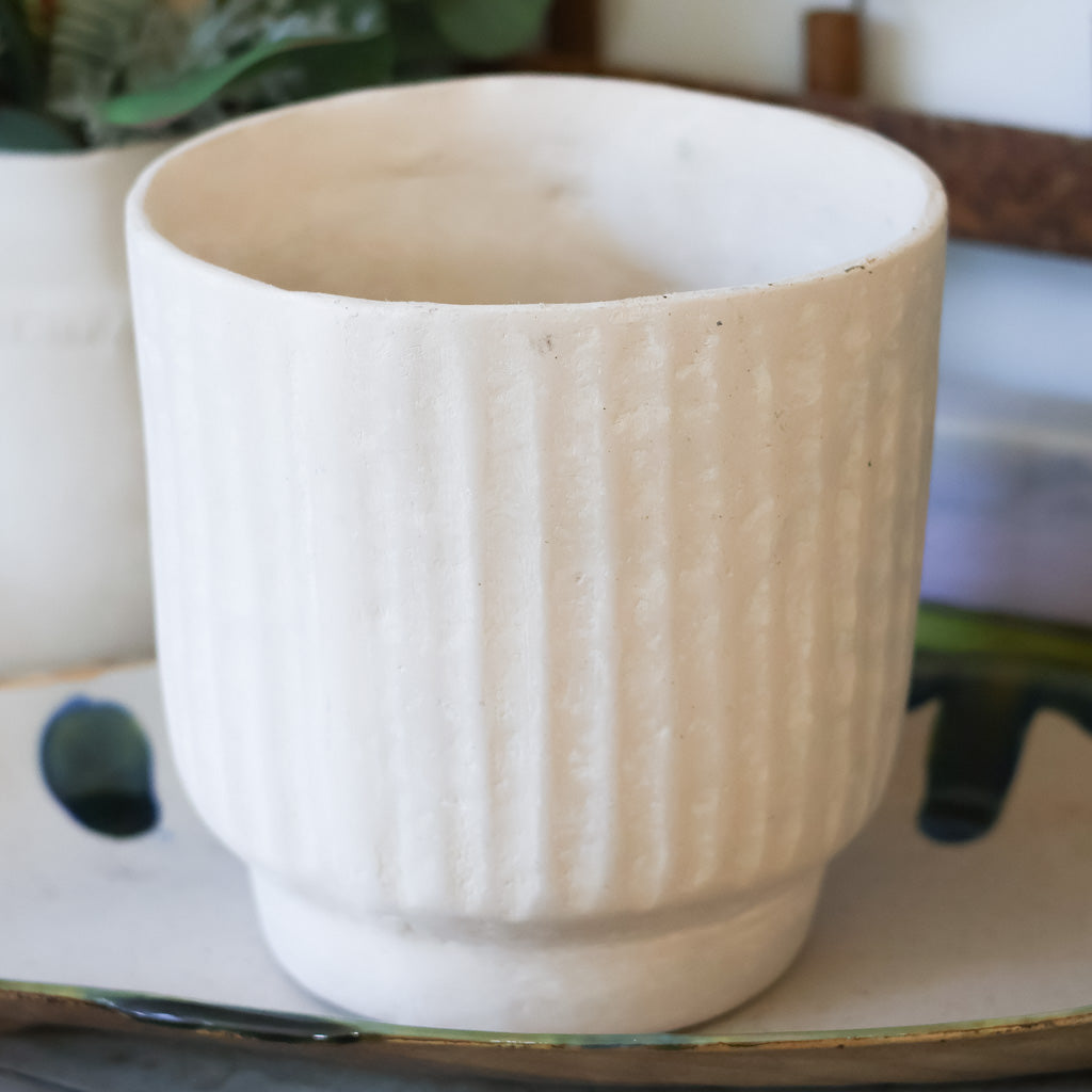 Container Recycled Paper/Chalk Powder