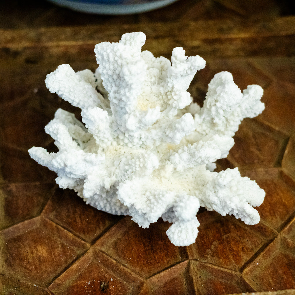 Coral Resin