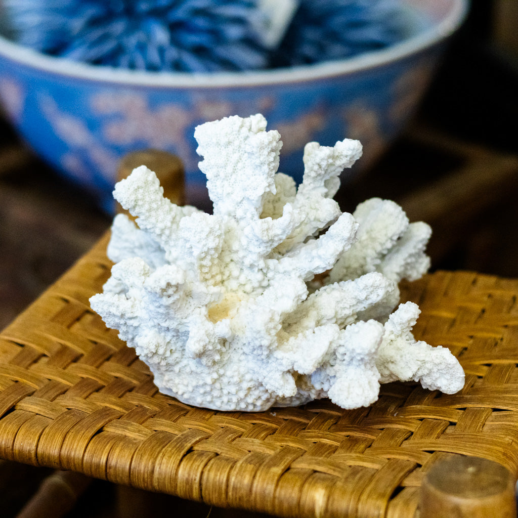 Coral Resin
