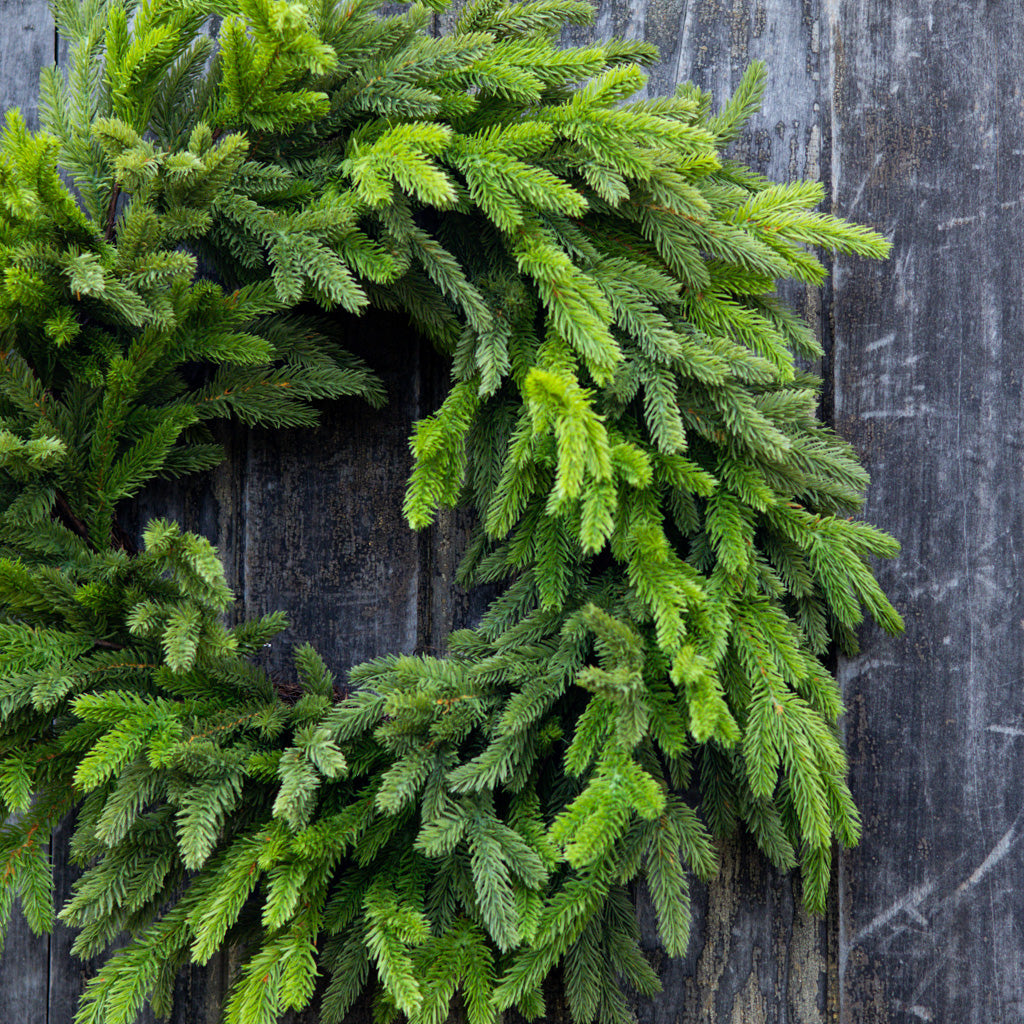 28"D Alpine Wreath