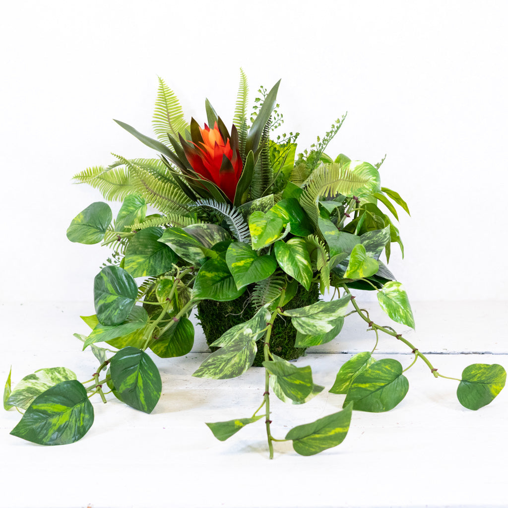 Green House Faux Dish-Garden Centerpiece Drop In